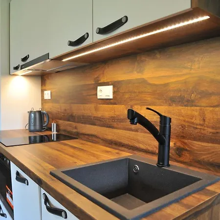 Apartman U Fibichů Orlické Záhoří